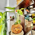 Thumbnail de la galería