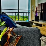 Thumbnail de la galería