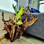 Thumbnail de la galería