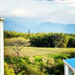 Thumbnail de la galería