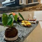 Thumbnail de la galería